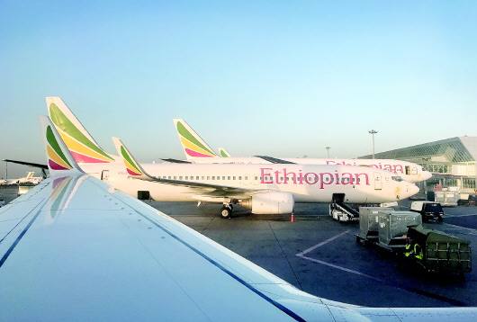 [airplanes什么意思]airplanes是什么意思中文
