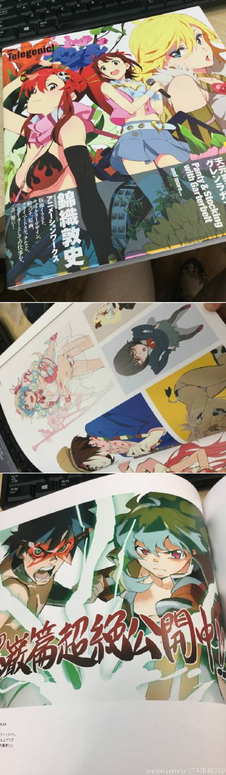 telegenic的简单介绍