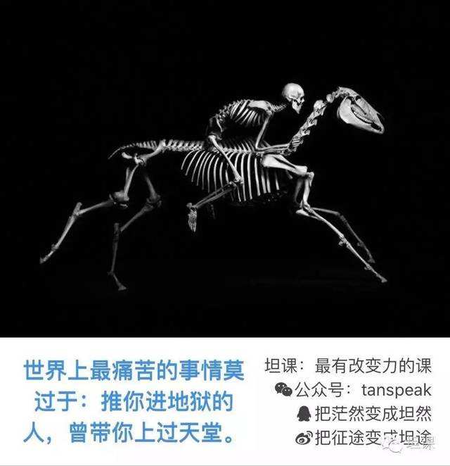 关于successor有成功者的意思吗的信息