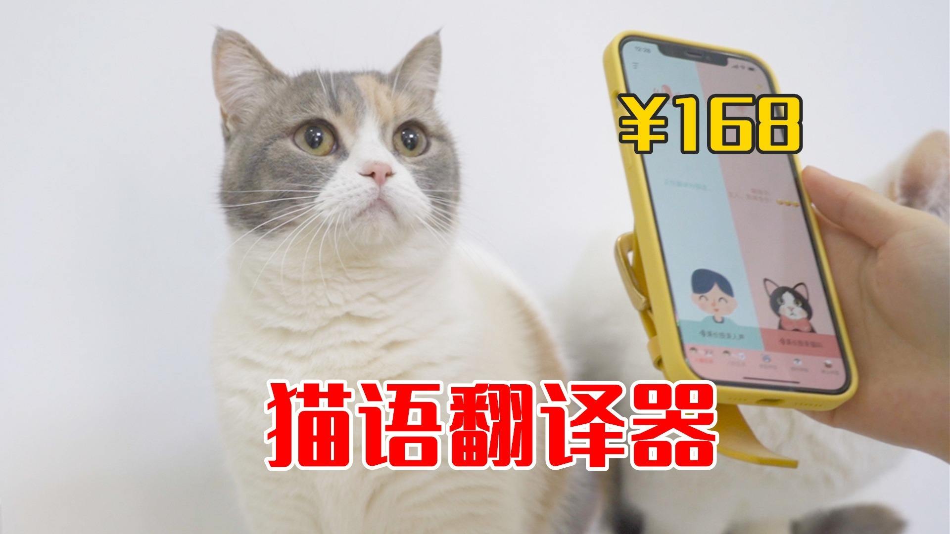[怎么在line里用翻译器]怎么在line里用翻译器打字