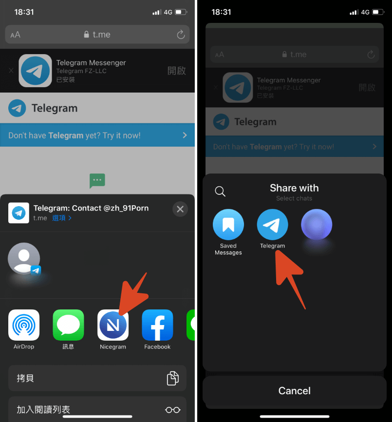 关于telegram怎么建立账号ios的信息