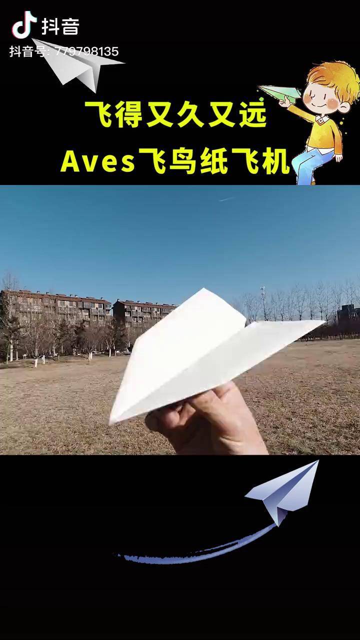 [纸飞机视频观看]纸飞机视频教程大全
