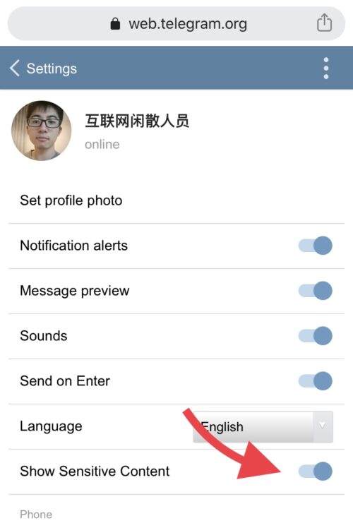 [telegream苹果手机怎么下载]telegreat苹果手机中文版下载