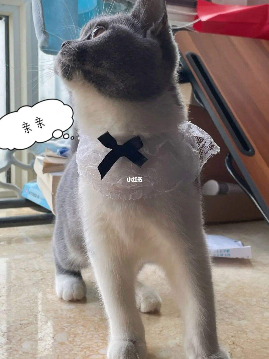 狗急加速兑换码-狗急加速器下载安卓版