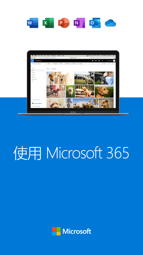 onedrive-onedrive无法登录