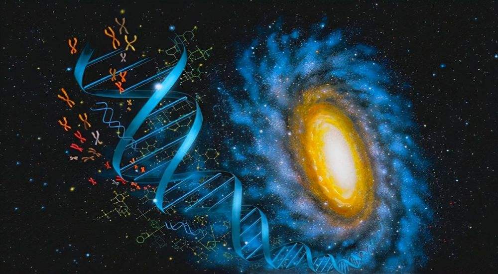 普通人怎么投资元宇宙-元宇宙app官方版下载
