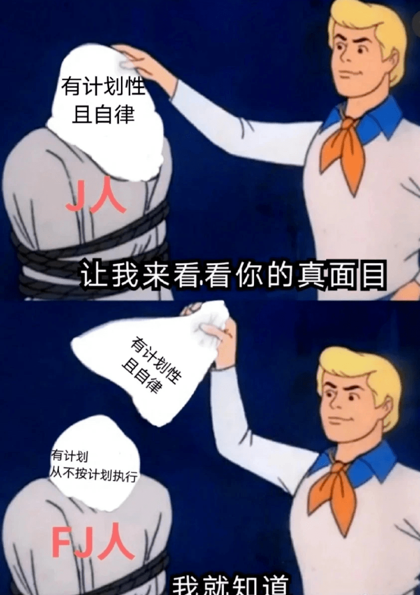 intp官网、intp形象图