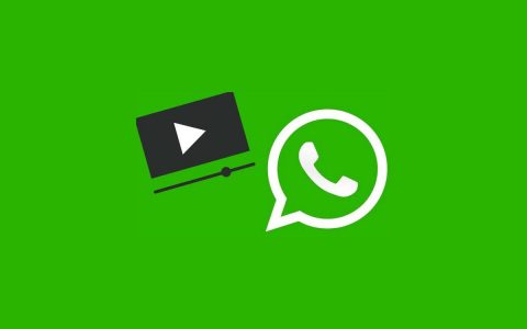 whatsapp中文叫什么,whatsapp中文叫什么中国境内有哪些社交软件可以用