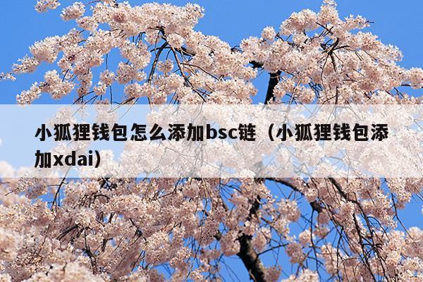小狐狸钱包app官网客服电话,小狐狸钱包app官网客服电话号码