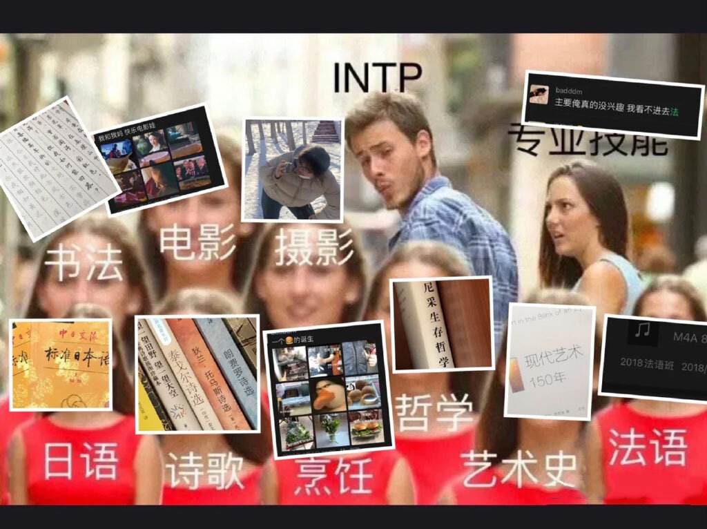 intp官网测,intp ti ne