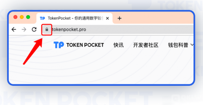 tpkenpocket,tpkenpocket钱包下载