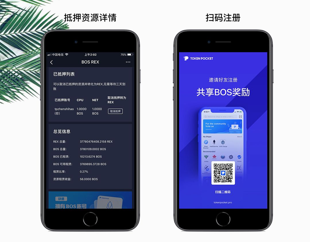 苹果安装tp钱包,苹果手机怎么安装tp钱包