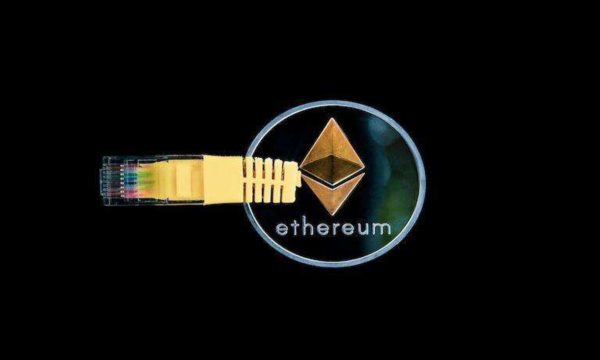 小狐狸钱包支持的币种,小狐狸钱包支持比特币吗