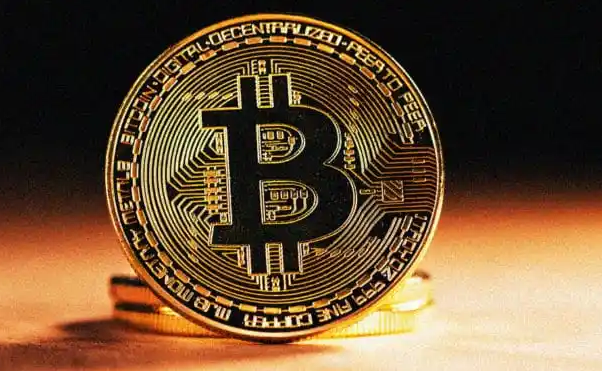 USDT小金库钱包,usdt小金库钱包介绍