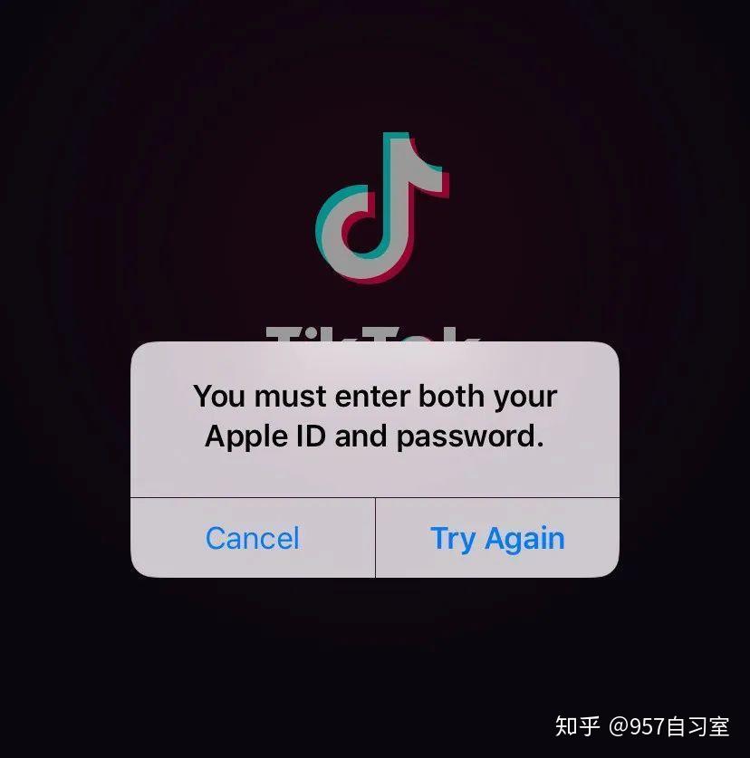 tiktok国际版网页入口,成品短视频软件推荐下载app