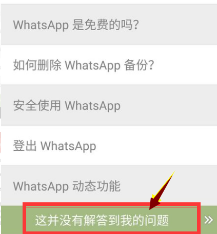 包含WhatsApp2023国际版官方下载的词条