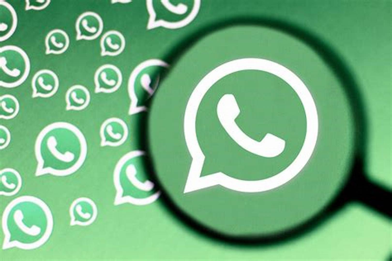 whatsapp国内代理软件,whatsappliteapk