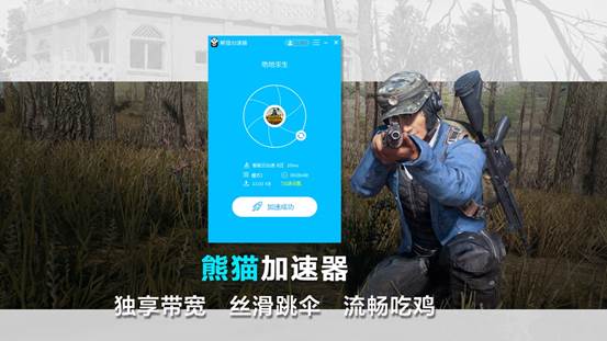 熊猫加速器,熊猫加速器2024