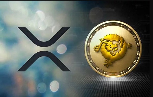 瑞波币是什么链,瑞波币是区块链技术吗 瑞波币是什么链,瑞波币是区块链技术吗