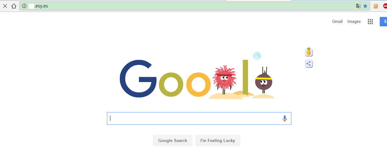 google.com,google 官网入口