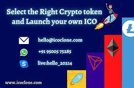 tokenonly官方网站,tokenterminal官网