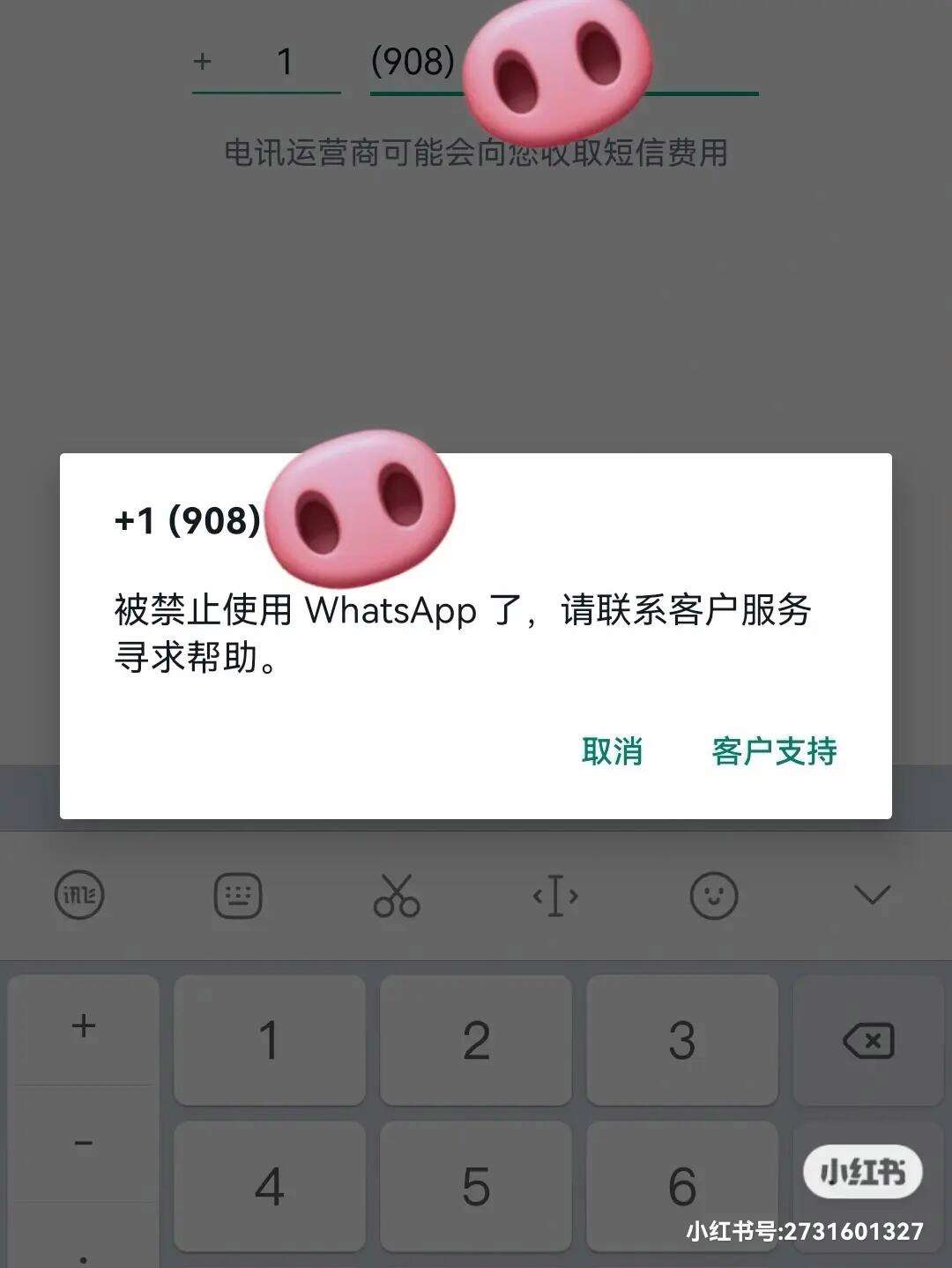 关于whatsapp收不到验证码也无法致电怎么解决的信息