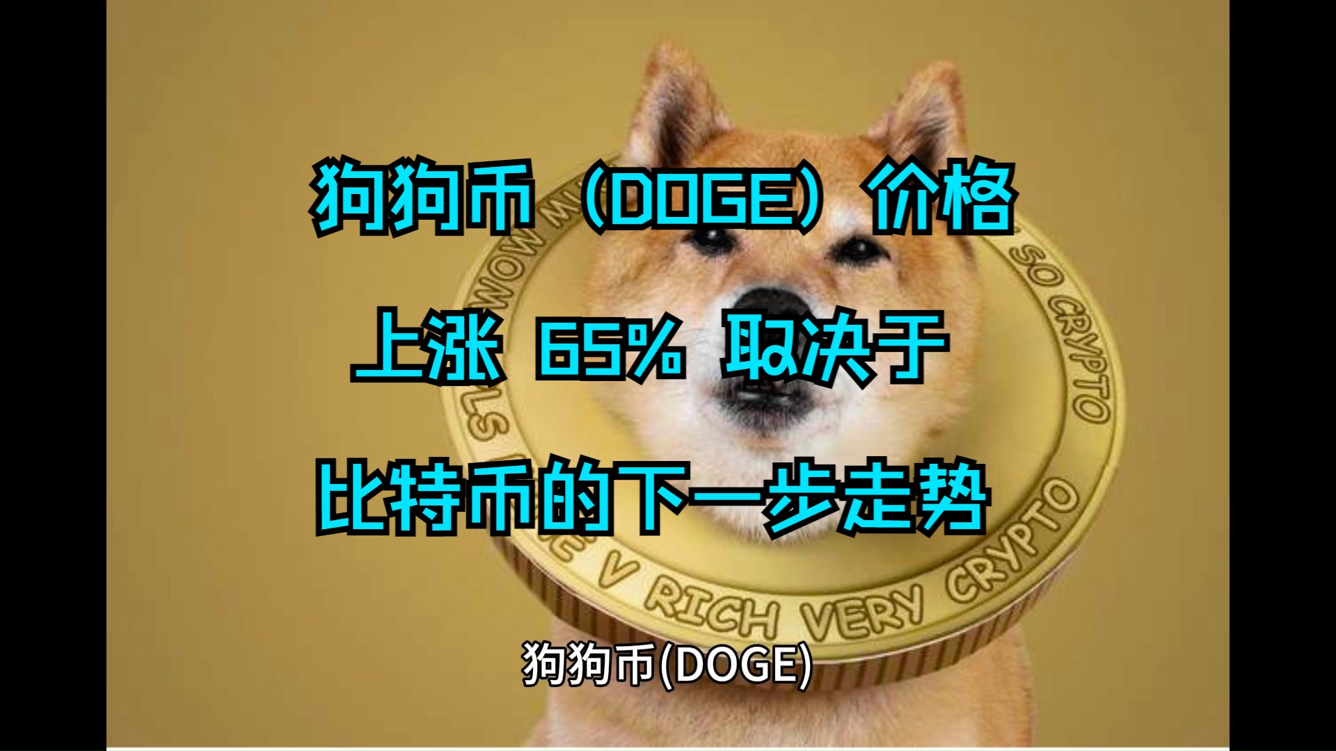 狗狗币历史价格表一览,狗狗币历史最高价03元