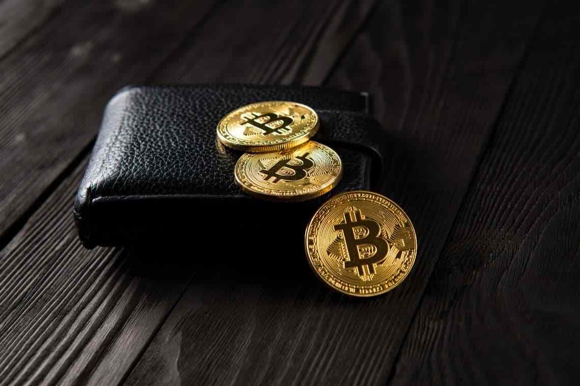 包含比特币冷钱包到底应该怎么做才能赚钱呢的词条