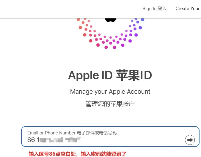appleid密码是什么格式,苹果id的苹果id密码的格式是什么