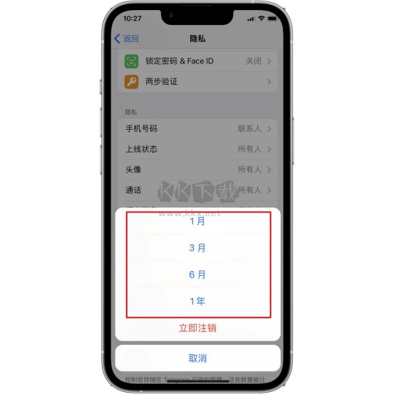 纸飞机app聊天软件苹果,苹果纸飞机聊天软件怎么不能用
