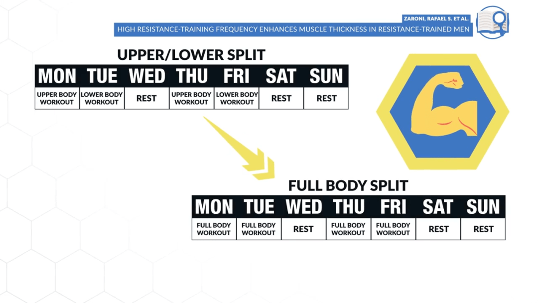 关于FITFI币行情走势图的信息