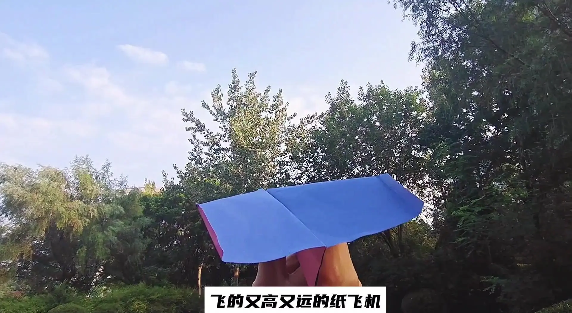 纸飞机视频怎么保存本地,纸飞机视频app下载安卓版