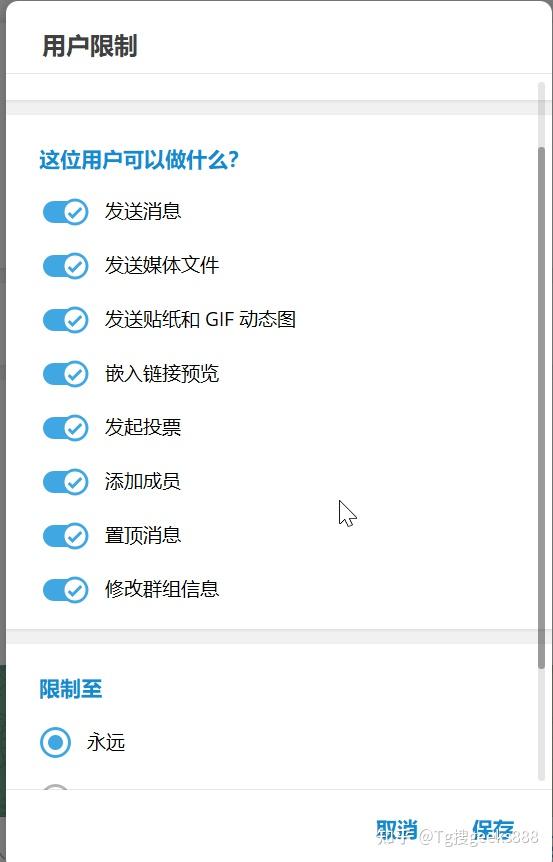 关于Telegram纸飞机官网地址的信息