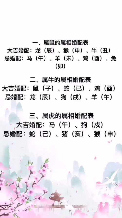 三一二三今期暴什么生肖,一三仍然旺在前,二八二七相伴走是什么生肖