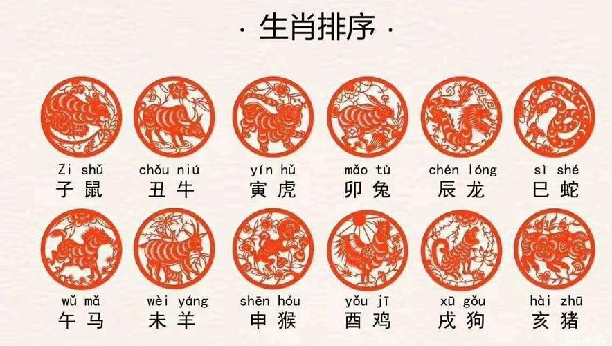 玄机三六打一个生肖,玄机三六点代表什么生肖或数字