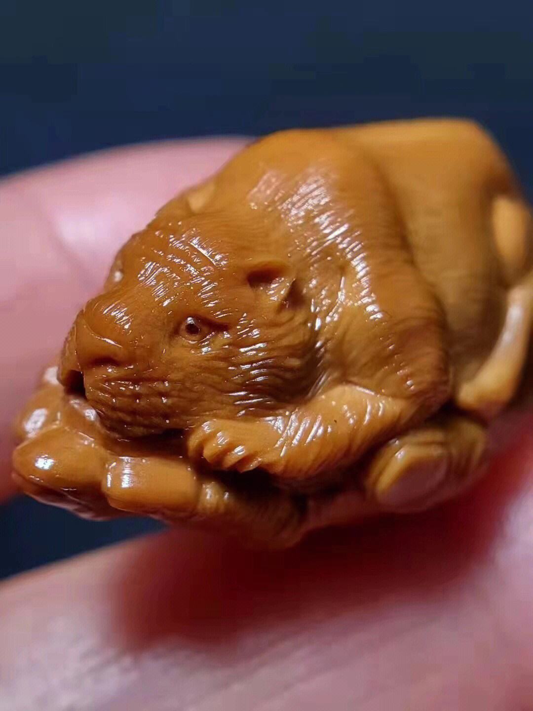 备多力分猜一生肖,备多力分猜一生肖?