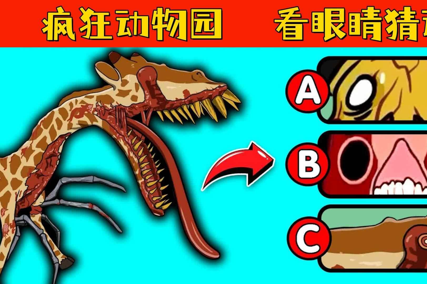一清二白猜一只动物,一清二白猜正确的动物