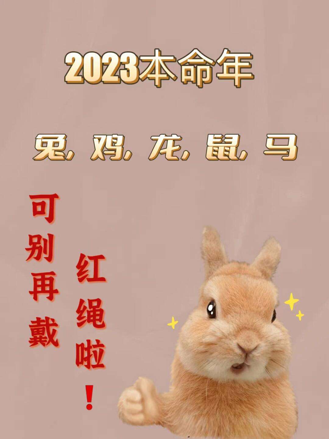 今期六字出玄机最佳生肖,今期六字出玄机是指哪个生肖