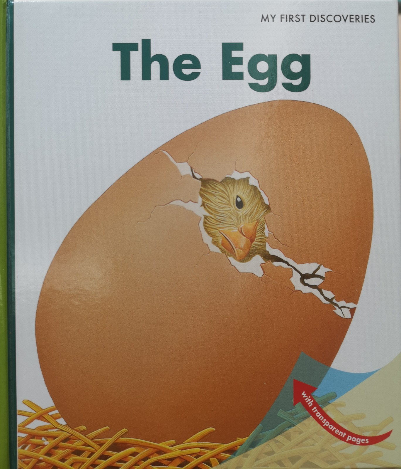 theegg情节分析ppt,theegg情节分析4个方面