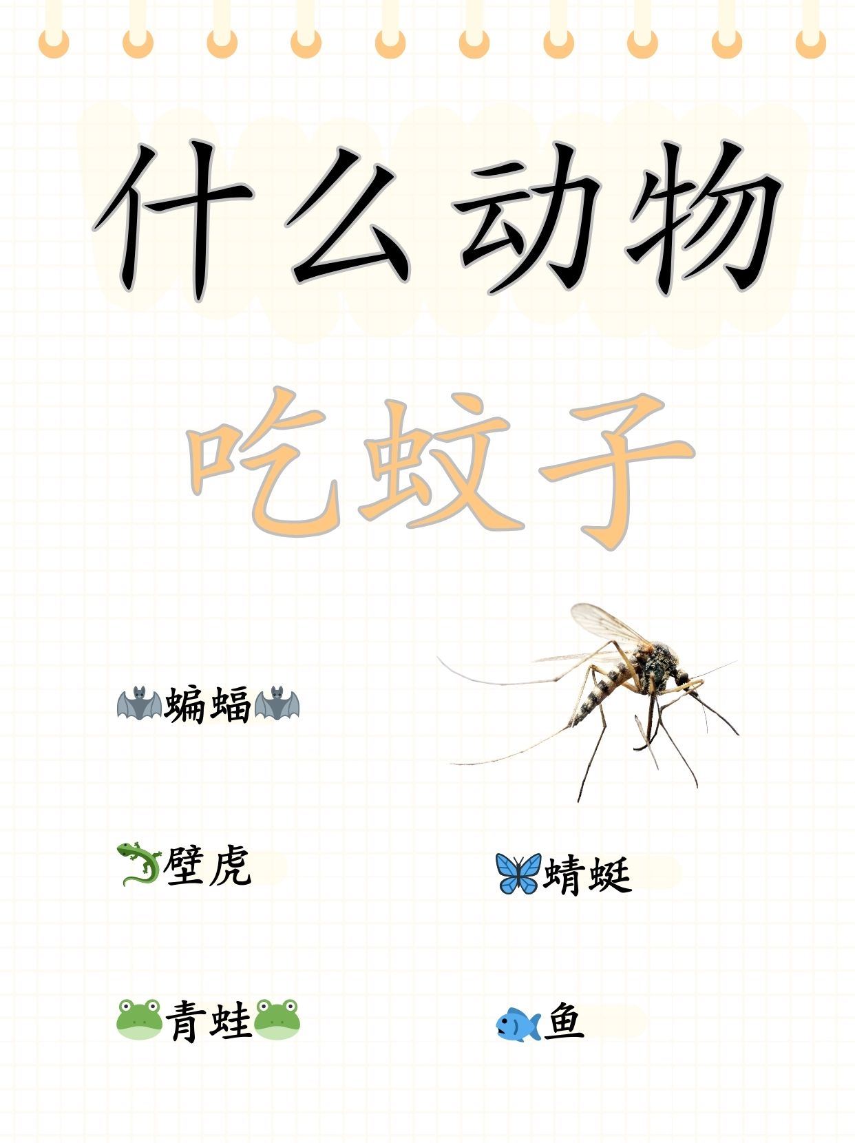 蝙蝠app下载官网,蝙蝠app下载最新版本258