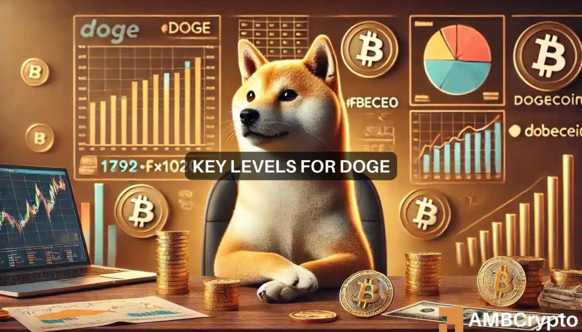 狗币的今日价格,狗币的今日价格是多少