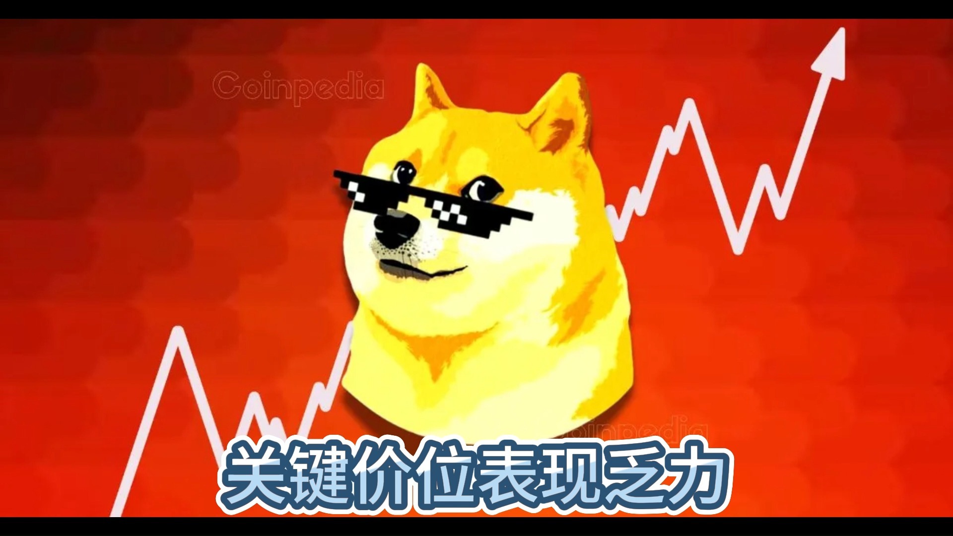 狗狗币美金实时价格,狗狗币美元价格今日行情