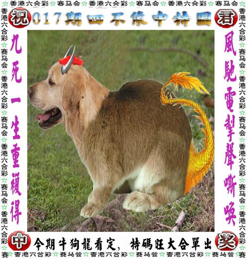 今期生肖七字开猜最准确一肖动物,今期生肖七字开,买八一定能发财解什么生肖