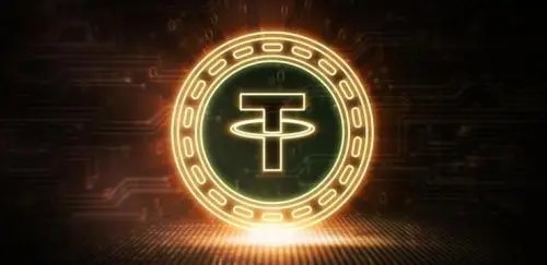 usdt钱包官方网站,usdt trc20 钱包