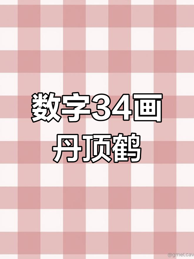 三四打一数字,十九有望中三四打一数字