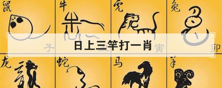 铁面无私打一肖,铁面无私指哪个生肖