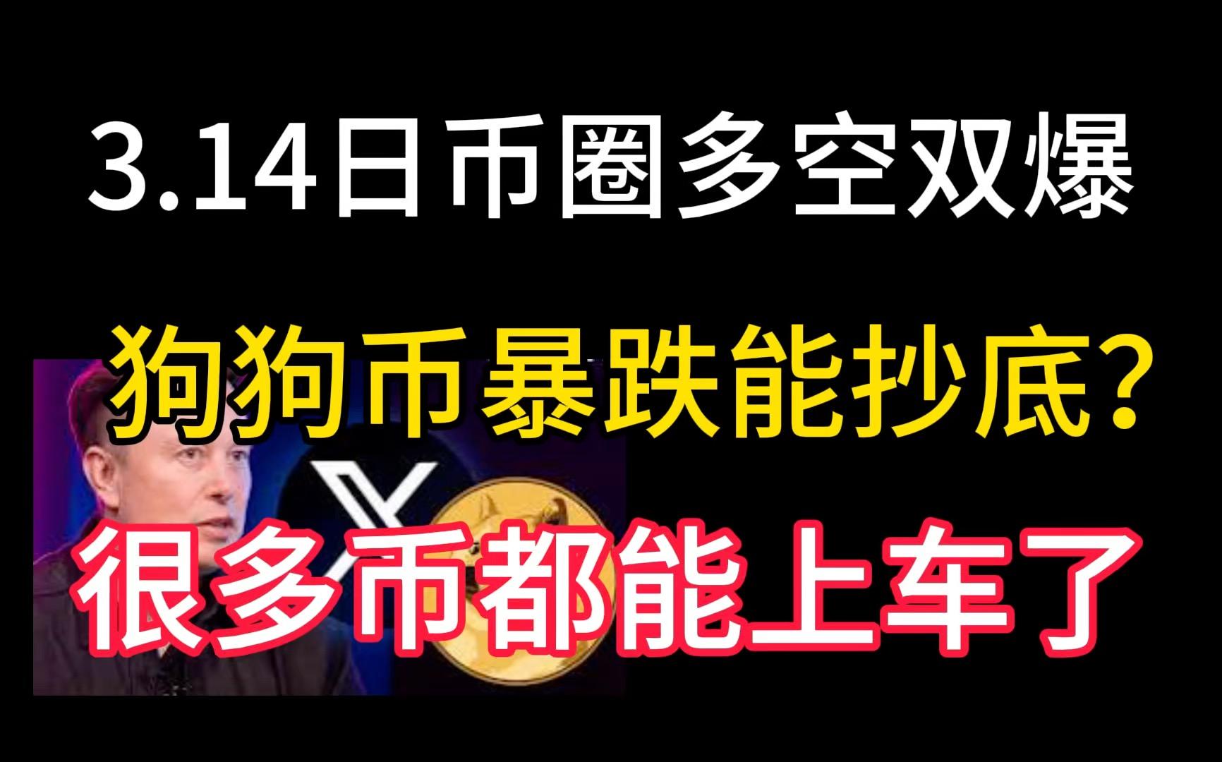 狗狗币美元交易今日价格,狗狗币今天的最新美元价格